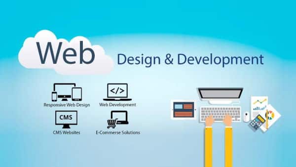 website development & design